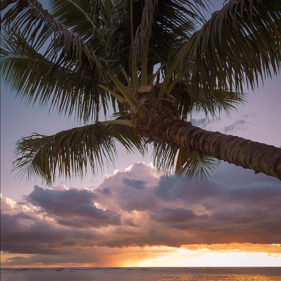 Like ๐๐ผ to bookmark my closet - Picture 3 of 7